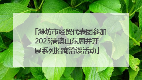 潍坊市经贸代表团参加2025港澳山东周并开展系列招商洽谈活动