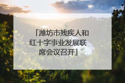 潍坊市残疾人和红十字事业发展联席会议召开