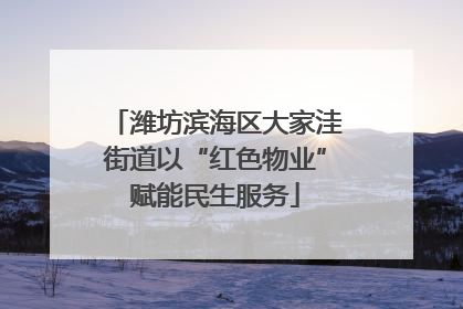 潍坊滨海区大家洼街道以“红色物业”赋能民生服务