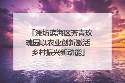潍坊滨海区芳青玫瑰园以农业创新激活乡村振兴新动能