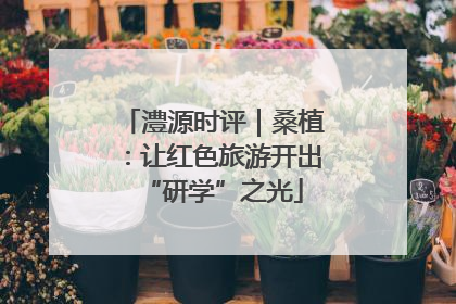 澧源时评｜桑植：让红色旅游开出“研学”之光