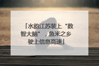 水韵江苏装上“数智大脑”，鱼米之乡驶上信息高速