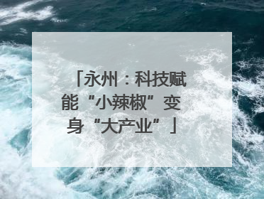 永州：科技赋能“小辣椒”变身“大产业”
