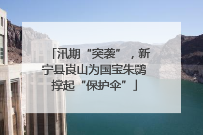 汛期“突袭”，新宁县崀山为国宝朱鹮撑起“保护伞”