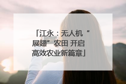 江永：无人机“展翅”农田 开启高效农业新篇章