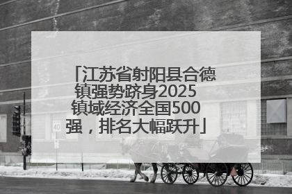 江苏省射阳县合德镇强势跻身2025镇域经济全国500强，排名大幅跃升