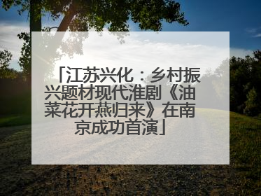 江苏兴化：乡村振兴题材现代淮剧《油菜花开燕归来》在南京成功首演