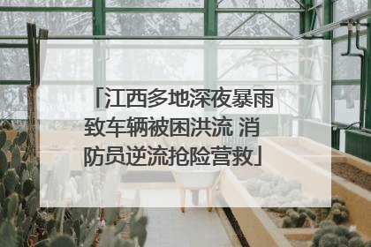 江西多地深夜暴雨致车辆被困洪流 消防员逆流抢险营救