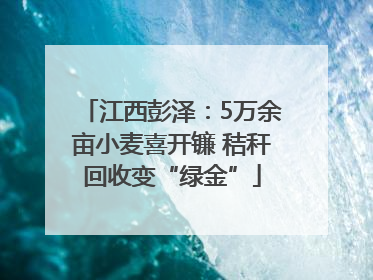 江西彭泽：5万余亩小麦喜开镰 秸秆回收变“绿金”