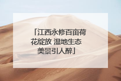 江西永修百亩荷花绽放 湿地生态美景引人醉