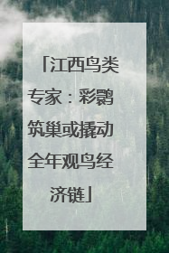 江西鸟类专家：彩鹮筑巢或撬动全年观鸟经济链