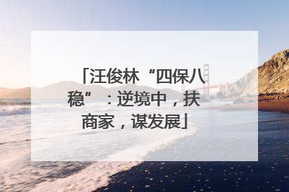 汪俊林“四保八稳”：逆境中，扶商家，谋发展