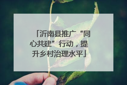 沂南县推广“同心共建”行动，提升乡村治理水平