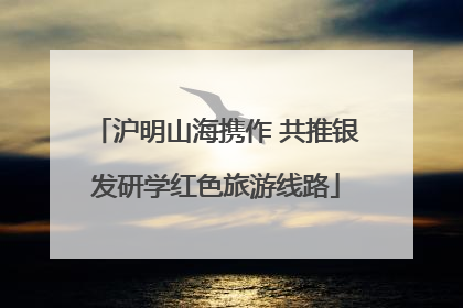 沪明山海携作 共推银发研学红色旅游线路