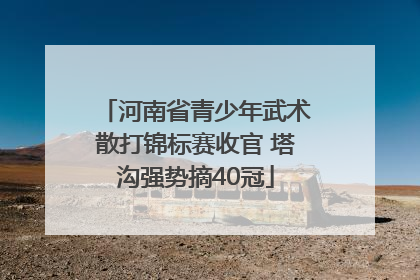 河南省青少年武术散打锦标赛收官 塔沟强势摘40冠