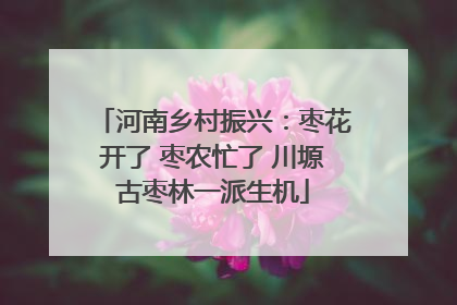 河南乡村振兴：枣花开了 枣农忙了 川塬古枣林一派生机