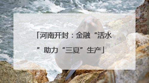 河南开封：金融“活水”助力“三夏”生产