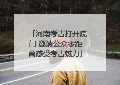 河南考古打开院门 邀请公众零距离感受考古魅力