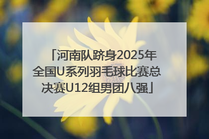 河南队跻身2025年全国U系列羽毛球比赛总决赛U12组男团八强