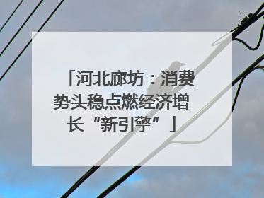 河北廊坊：消费势头稳点燃经济增长“新引擎”