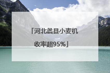 河北蠡县小麦机收率超95%