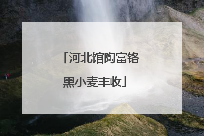 河北馆陶富铬黑小麦丰收