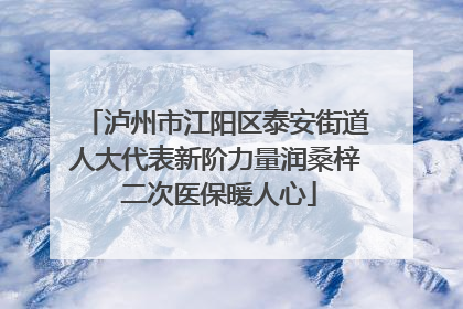 泸州市江阳区泰安街道人大代表新阶力量润桑梓 二次医保暖人心