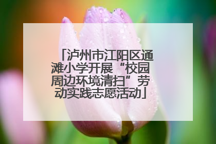 泸州市江阳区通滩小学开展“校园周边环境清扫”劳动实践志愿活动