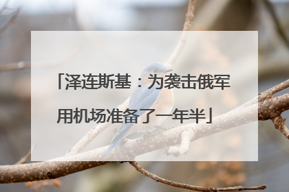 泽连斯基：为袭击俄军用机场准备了一年半