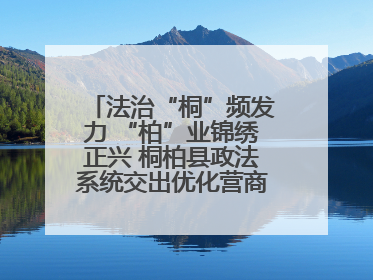 法治“桐”频发力 “柏”业锦绣正兴 桐柏县政法系统交出优化营商环境“成绩单”