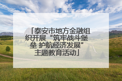 泰安市地方金融组织开展“筑牢战斗堡垒 护航经济发展”主题教育活动