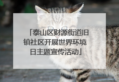 泰山区财源街道旧镇社区开展世界环境日主题宣传活动