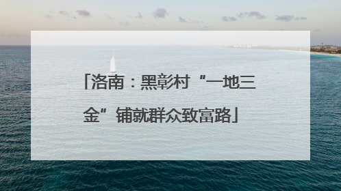 洛南：黑彰村“一地三金”铺就群众致富路