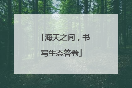 海天之间，书写生态答卷