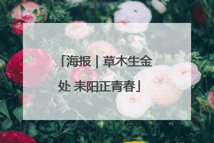 海报｜草木生金处 耒阳正青春