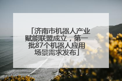 济南市机器人产业赋能联盟成立，第一批87个机器人应用场景需求发布