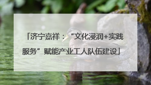 济宁嘉祥：“文化浸润+实践服务”赋能产业工人队伍建设