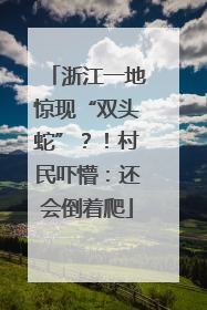 浙江一地惊现“双头蛇”？！村民吓懵：还会倒着爬