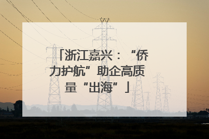浙江嘉兴：“侨力护航”助企高质量“出海”