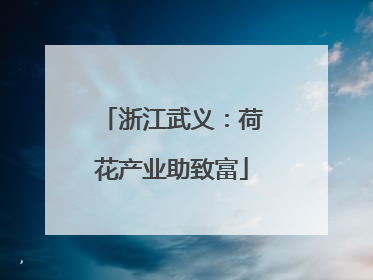 浙江武义：荷花产业助致富