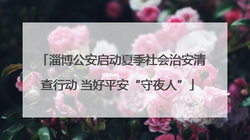 淄博公安启动夏季社会治安清查行动 当好平安“守夜人”