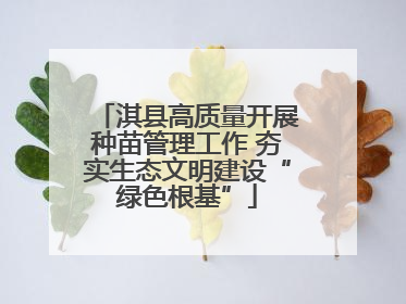 淇县高质量开展种苗管理工作 夯实生态文明建设“绿色根基”