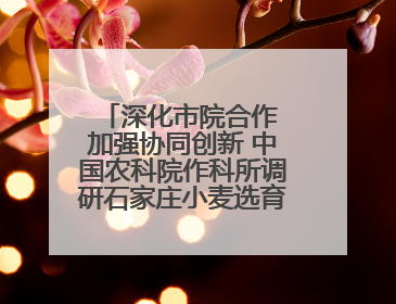 深化市院合作 加强协同创新 中国农科院作科所调研石家庄小麦选育种等工作