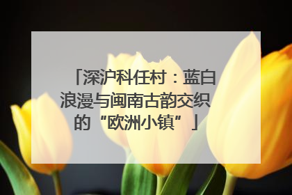 深沪科任村：蓝白浪漫与闽南古韵交织的“欧洲小镇”