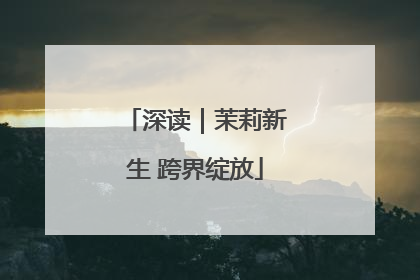 深读｜茉莉新生 跨界绽放