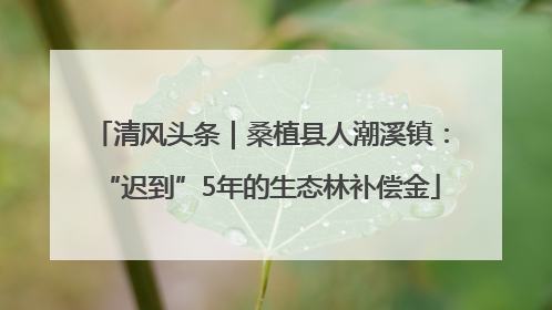 清风头条｜桑植县人潮溪镇：“迟到”5年的生态林补偿金