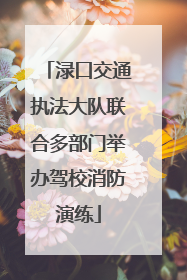 渌口交通执法大队联合多部门举办驾校消防演练