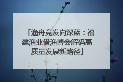 渔舟竞发向深蓝：福建渔业借渔博会解码高质量发展新路径