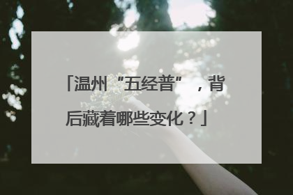 温州“五经普”，背后藏着哪些变化？