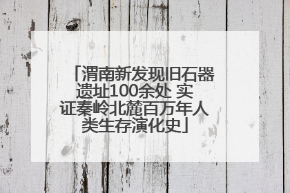 渭南新发现旧石器遗址100余处 实证秦岭北麓百万年人类生存演化史